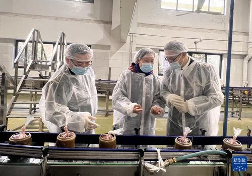 豆腐乳や上海ガニ 上海の味を世界に 23年输出额318亿元
