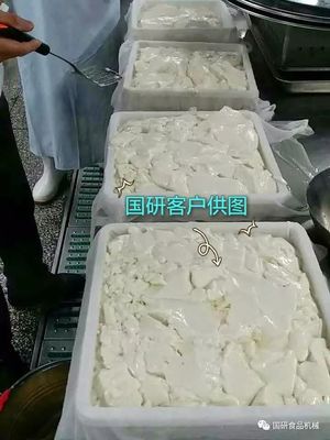 一套做豆腐的设备得多少钱(十大豆腐设备品牌制造厂)